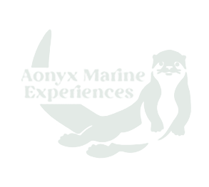 Anoynx logo